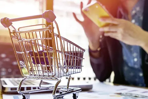 SSI SCHÄFER Online Store