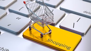 Supply Chain Solutions for E-Commerce