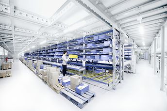 Live storage shelving systems
