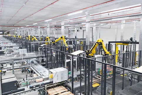 Pallettázó robotok