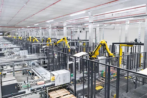 5057_Palletizing_Robots