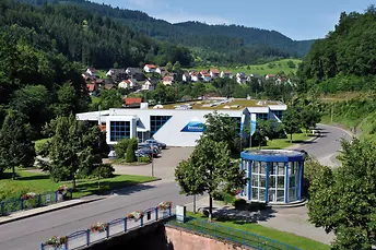 Bad Peterstal Logisztikai Központ