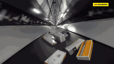 Adobe Express - video clip_ssi automatic picking_en (2)