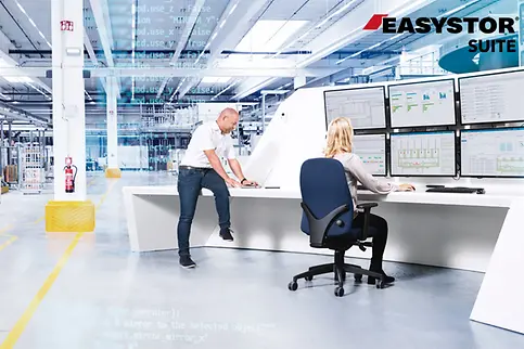 easystor suite con logo (1)