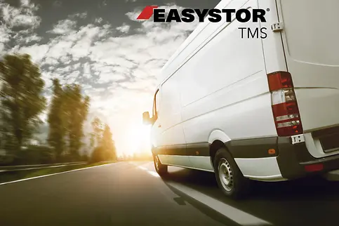 easystor tms con logo (1)