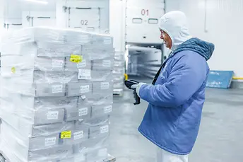 Mobiele stellingen ESX