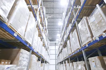 P1074109.00_00_06_09.Imagen fija005 (1)