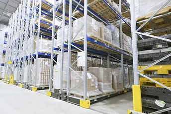 Bosco & Roxy Image 22