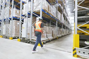 Bosco & Roxy Image 20